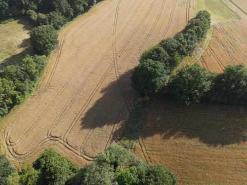 DJI_3066.JPG